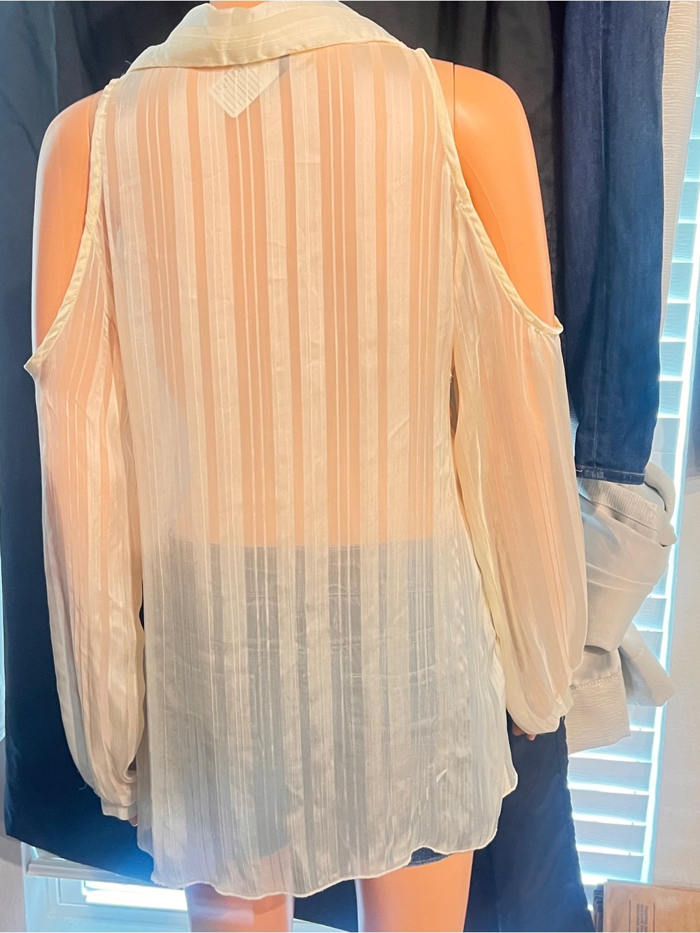 Sheer Button-Up Blouse - Picture 2 of 5